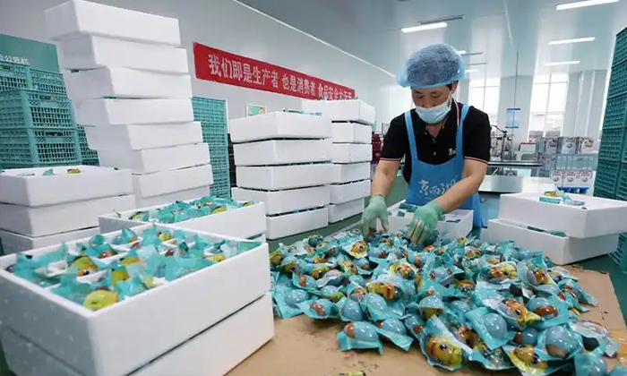 Revolutionizing Salted Duck Egg Production with Automated Processing Lines