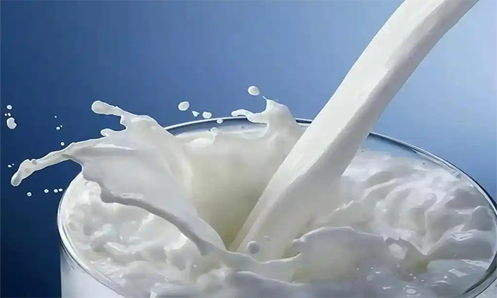 Why Dairy Producers Trust SUNLINN for High-Quality Milk Pasteurization Solution