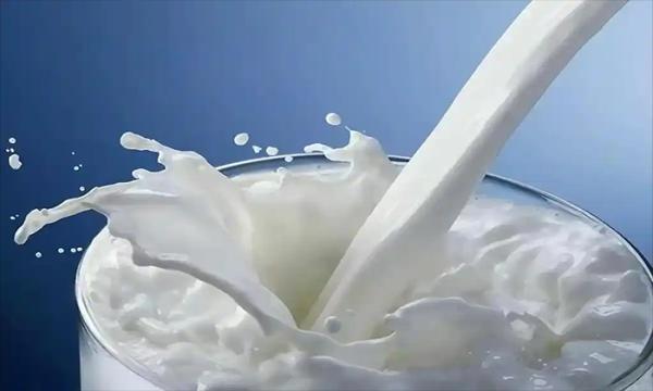 Why Dairy Producers Trust SUNLINN for High-Quality Milk Pasteurization Solution